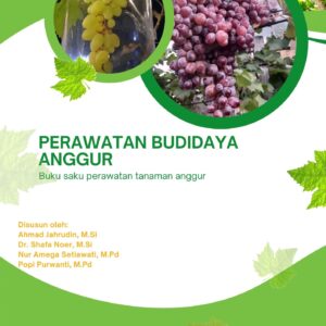 Perawatan Budidaya Anggur